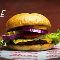 Elk Burger Single